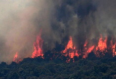 WWF: Οι γιγαντιαίες πυρκαγιές απειλούν την Ευρώπη
