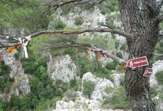 Πάρνηθα: Εντοπίστηκαν οι τέσσερις που είχαν χαθεί στο σπήλαιο Πανός - Συνεχίζεται η έρευνα για τον πέμπτο