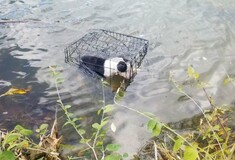 Βούτηξε σε παγωμένη λίμνη για να σώσει κουτάβι κλεισμένο σε κλουβί - Τώρα θέλει να το υιοθετήσει