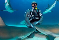 Cristina Zenato: Αποκλειστική συνέντευξη με τη διεθνούς φήμης δύτρια που έκανε τους καρχαρίες οικογένειά της