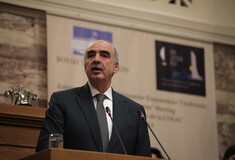 Κατά των πρόωρων εκλογών ο Μεϊμαράκης