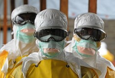 Πειραματικό φάρμακο θεράπευσε τον Έμπολα σε πειραματόζωα