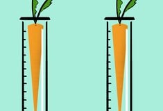 Γιατί 107 Νομπελίστες καταγγέλλουν την καμπάνια της Greenpeace κατά των γενετικά τροποποιημένων οργανισμών;