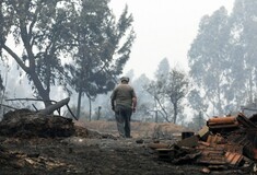 Ειδική ομάδα βοήθειας στην Πορτογαλία στέλνει η Ελλάδα - Φωτογραφίες ολικής καταστροφής από την περιοχή της πυρκαγιάς