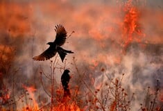 11 εντυπωσιακές φωτογραφίες φύσης που διακρίθηκαν στον διαγωνισμό BigPicture