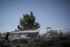 Μεγάλη πυρκαγιά στην Εύβοια - Στο χωριό Πισσώνας