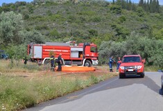 Είχαν κάνει άσκηση πυρόσβεσης τον Μάιο κοντά στο Μάτι