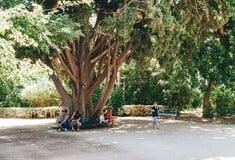 Τι αλλάζει στον Εθνικό Κήπο;