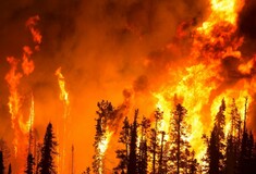 Καύσωνας και πυρκαγιές σχεδόν σε όλη την Ευρώπη: Χιλιάδες στρέμματα δάσους έχουν γίνει στάχτη