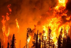 Καύσωνας και πυρκαγιές σχεδόν σε όλη την Ευρώπη: Χιλιάδες στρέμματα δάσους έχουν γίνει στάχτη