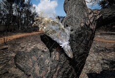 Φωτιές στην Αττική: Δύο από τα θύματα δεν έχουν αναζητηθεί από κανέναν - Στους 81 οι ταυτοποιημένοι νεκροί