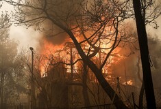 Μάχη με τις φλόγες στην Κινέτα: Η φωτιά έφτασε στην Εθνική οδό - Κάηκαν σπίτια (UPDATE)