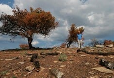 Τρεις μήνες μετά τη φωτιά, οι επιζώντες επιστρέφουν στο Μάτι