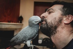 Ο παπαγάλος που άλλαξε τη ζωή μιας οικογένειας