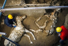 Εντυπωσιακή ανακάλυψη στην Πομπηία - Ατόφιο άλογο με περίτεχνα στολίδια και χαλινάρια