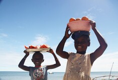 Οι μικροί Ντινό της Μαδαγασκάρης μας διδάσκουν το «Σύστημα D»