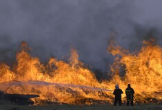 Πολύ υψηλός κίνδυνος πυρκαγιάς σήμερα για Αττική και Στερεά Ελλάδα