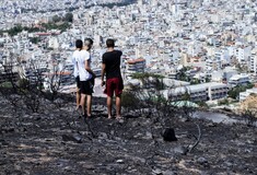 Καταστρέφουν ή όχι τα δάση οι αναδασώσεις; Πώς μπορούν να αντιμετωπιστούν πλέον οι δασικές καταστροφές;