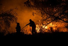 Φωτιά στην Εύβοια: Μάχη στο μέτωπο της χαράδρας - «Θα καίει για μέρες» λέει η πυροσβεστική