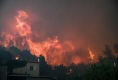 Ανεξέλεγκτη η πυρκαγιά στην Εύβοια: Φτιάχνουν αντιπυρικές ζώνες απέναντι στο μέτωπο της φωτιάς