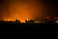 Σε ύφεση η πυρκαγιά στην Ελαφόνησο - Τεράστια η οικολογική και οικονομική καταστροφή