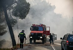 Φωτιά στην Εύβοια: Σε κατάσταση έκτακτης ανάγκης ο δήμος Διρφύων - Μεσσαπίων