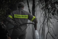 ΓΓΠΠ: Πολύ υψηλός κίνδυνος πυρκαγιάς την Τρίτη - Ποιες περιοχές αφορά