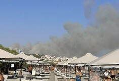 Φωτιά στη Σάμο: Εκκενώθηκαν ξενοδοχεία - Ζημιές στο δίκτυο της ΔΕΗ