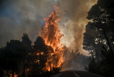 Εύβοια: Ενδείξεις εμπρησμού - Δύο συλλήψεις για φωτιές σε Ηλεία και Καλαμάτα