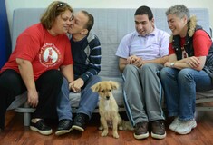 «Therapy Dogs»: πώς δημιουργήθηκε η πρώτη ομάδα «σκύλων-θεραπευτών» στην Ελλάδα