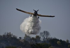 Ανεξέλεγκτη η φωτιά στη Θήβα - Τι συμβαίνει στα υπόλοιπα μέτωπα