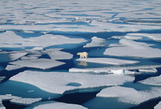 Ποιο θα είναι το μέλλον του Αρκτικού Ωκεανού μετά το λιώσιμο των πάγων;