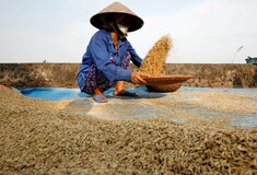 ΟΗΕ: Τα μέτρα λόγω κορωνοϊού μπορεί να προκαλέσουν ελλείψεις τροφίμων παγκοσμίως