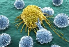 Καρκίνος: Μια ανακάλυψη για το ανοσοποιητικό σύστημα «ίσως βοηθήσει στην αντιμετώπιση όλων των μορφών»