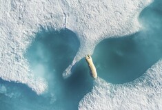 Travel Photographer of the Year 2019: Όλες οι φωτογραφίες που ξεχώρισαν, συζητήθηκαν και συγκίνησαν