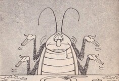 Οι κατσαρίδες προκαλούν φόβο και αηδία, αλλά ένα κόμικ ίσως βοηθήσει να τις δούμε πιο χαλαρά