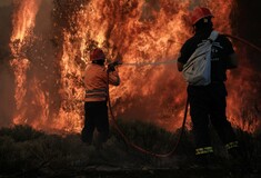 Φωτιά στην Κορινθία: Πύρινο μέτωπο 12 χιλιομέτρων - Προσπαθούν να ανοίξουν αντιπυρικές ζώνες