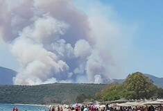 Πυρκαγιά στη Μάνη: Ολονύκτια μάχη με τις φλόγες - Πολλές διάσπαρτες εστίες