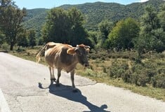 Αρχή φθινοπώρου στα Ζαγοροχώρια