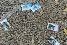 «Βροχή» κάνναβης στο Τελ Αβίβ - Drone έριξε εκατοντάδες σακουλάκια