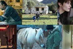 61ο Φεστιβάλ Κινηματογράφου Θεσσαλονίκης: Οι ελληνικές ταινίες