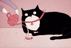 Πώς οι γάτες από σαρκοφάγοι κυνηγοί έγιναν τα αγαπημένα μας κατοικίδια: Ένα animation εξηγεί
