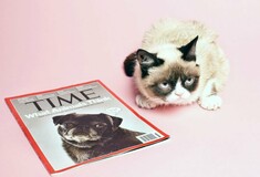 Η Grumpy Cat, βλοσυρή και σνομπ, στα γραφεία του Time