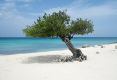 Οι 25 καλύτερες παραλίες του κόσμου 