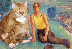 Its A Cat World