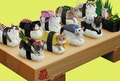 Sushi Cats: To πιο χαριτωμένο, ακαταλαβίστικο wtf των ημερών .