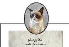 Τέλεια αποσπάσματα από το βιβλίο της «Grumpy Cat»