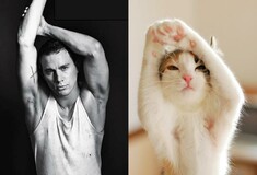 Mοντέλα ή γάτες; 