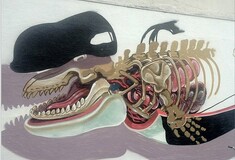 Nychos: Μαθήματα ανατομίας από τον street artist που λατρεύει να διαμελεί 