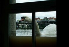 Η φωτογραφία της ημέρας, στην υπερ-πλημμυρισμένη Πράγα.